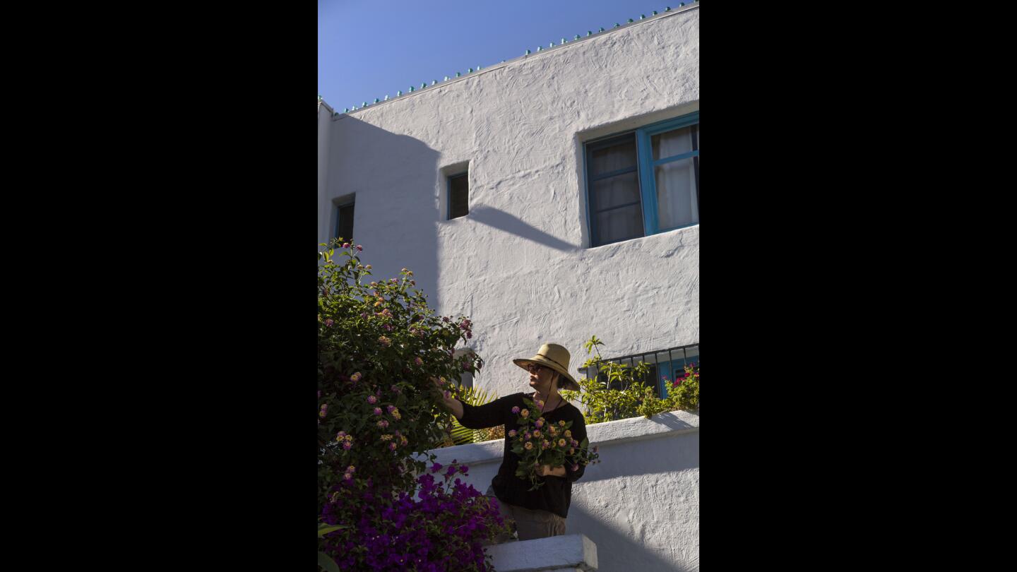 Laura Morton prunes some flowering lantana at the front of her house in Los Angeles. Her gardens will be open to the public on Saturdayas part of the Garden Conservancy's Open Days tour. On the roofline above her, husband Jeff Dunas has installed blue insulators from telephone poles.
