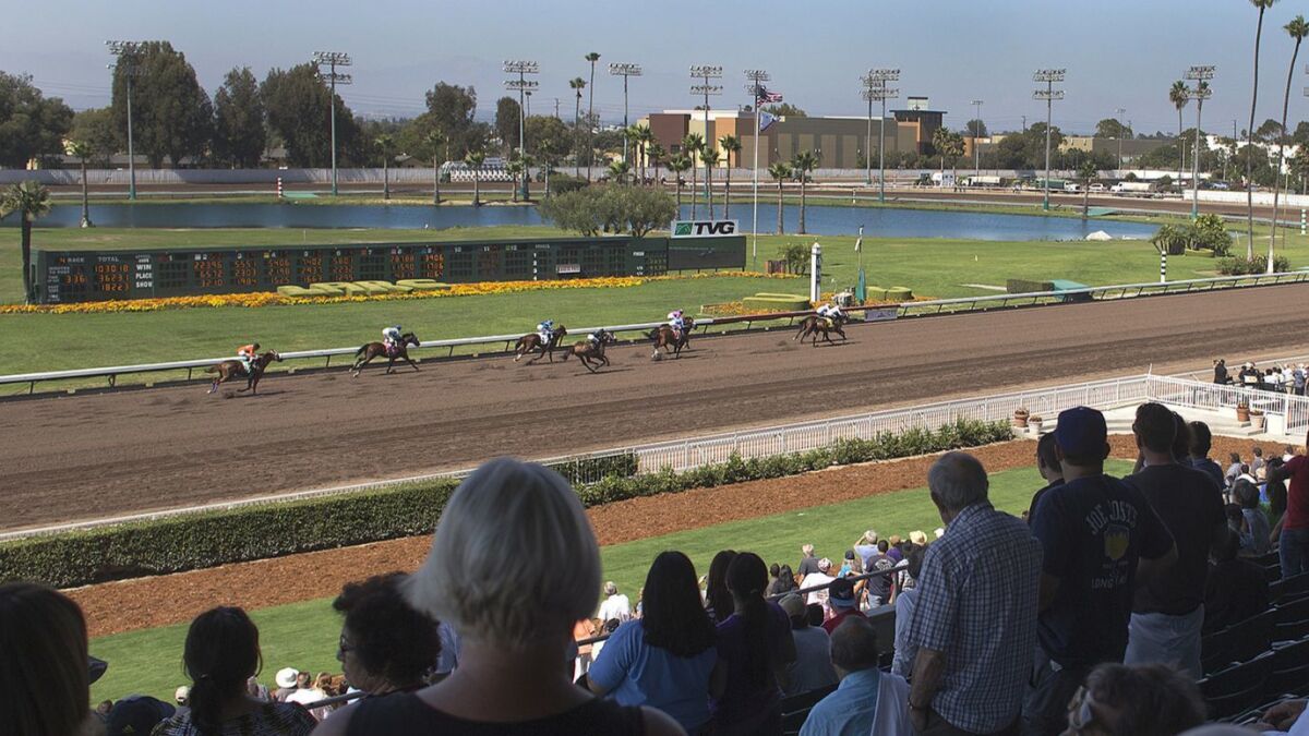 Spectators watch a race at Los Alamitos race track.