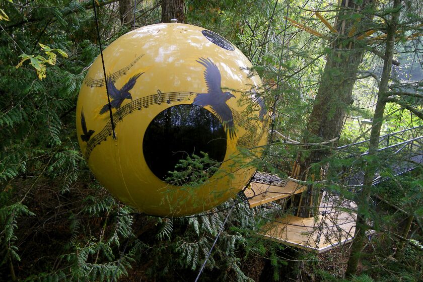 VANCOUVER ISLAND, BRITISH COLUMBIA, CANADA - The yellow fiberglass exterior of the Free Spirit Sphere Melody is decorated with a musical score and birds. The sphere features five window. (Tom_Chudleigh/Free Spirit Spheres)