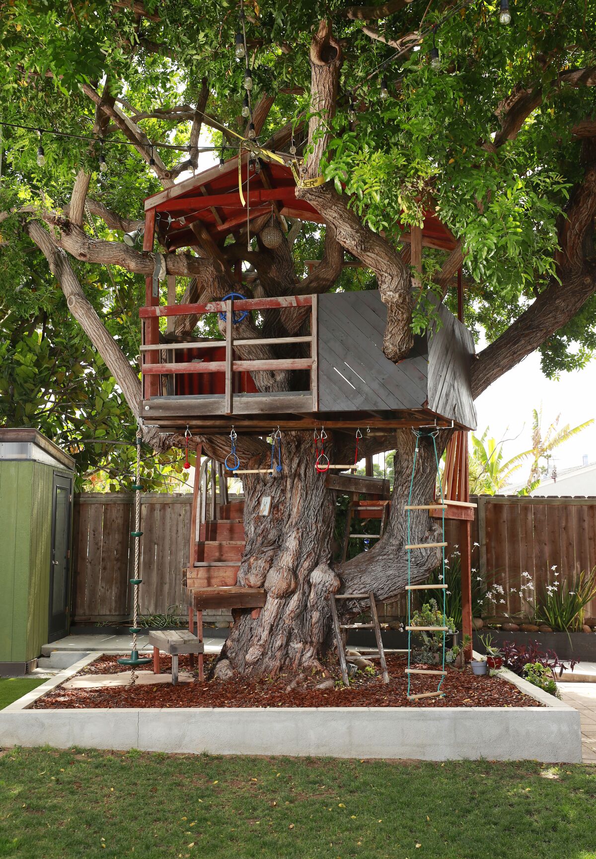 The large, shady Brazilian pepper tree was a selling point when Taylor and Metcalf bought the house.