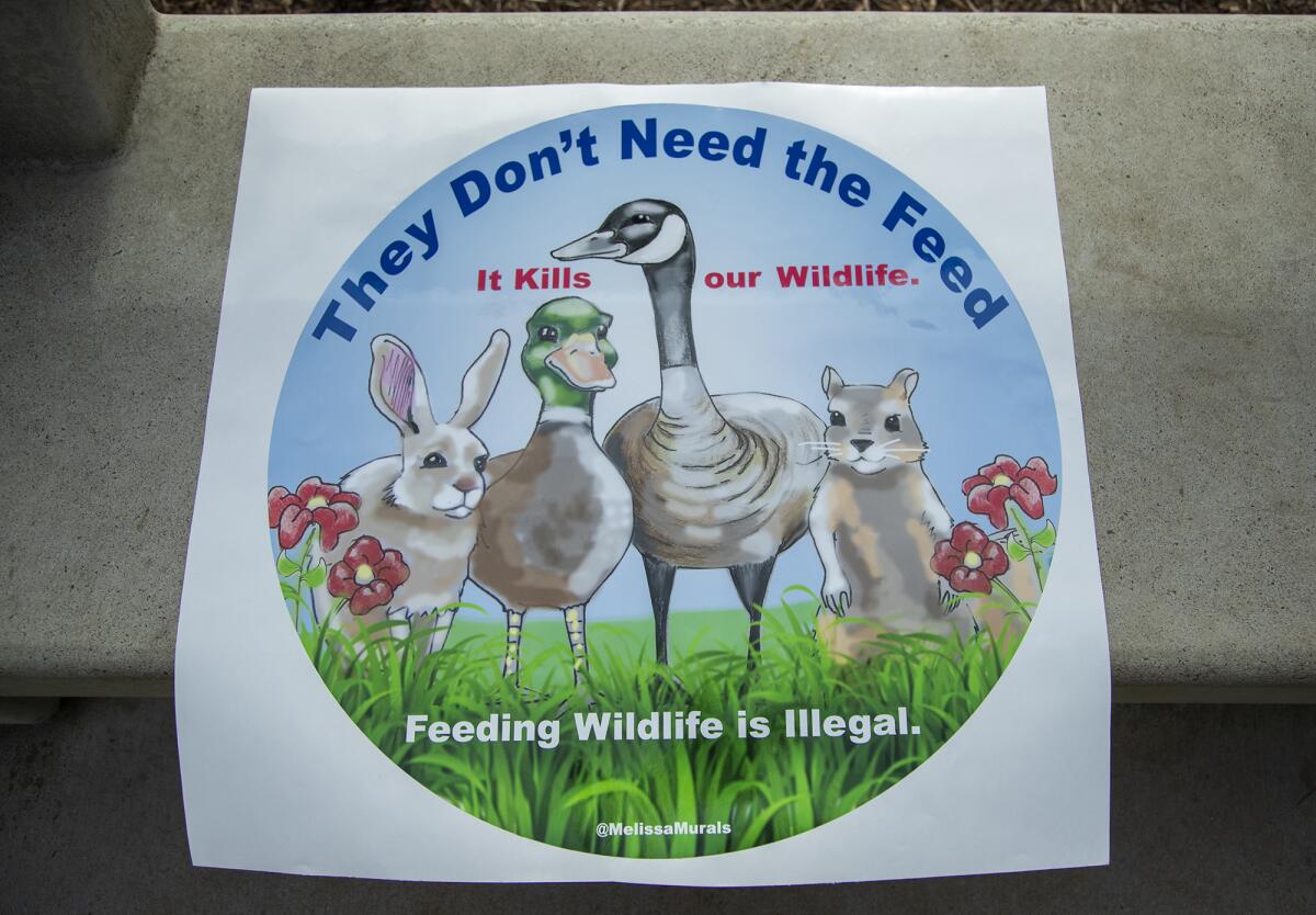 A decal urging people not to feed wildlife in Central Park in Huntington Beach on Tuesday.