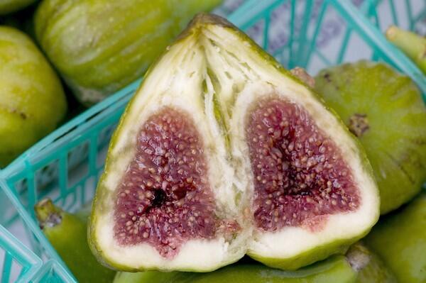 Now that's a fig: