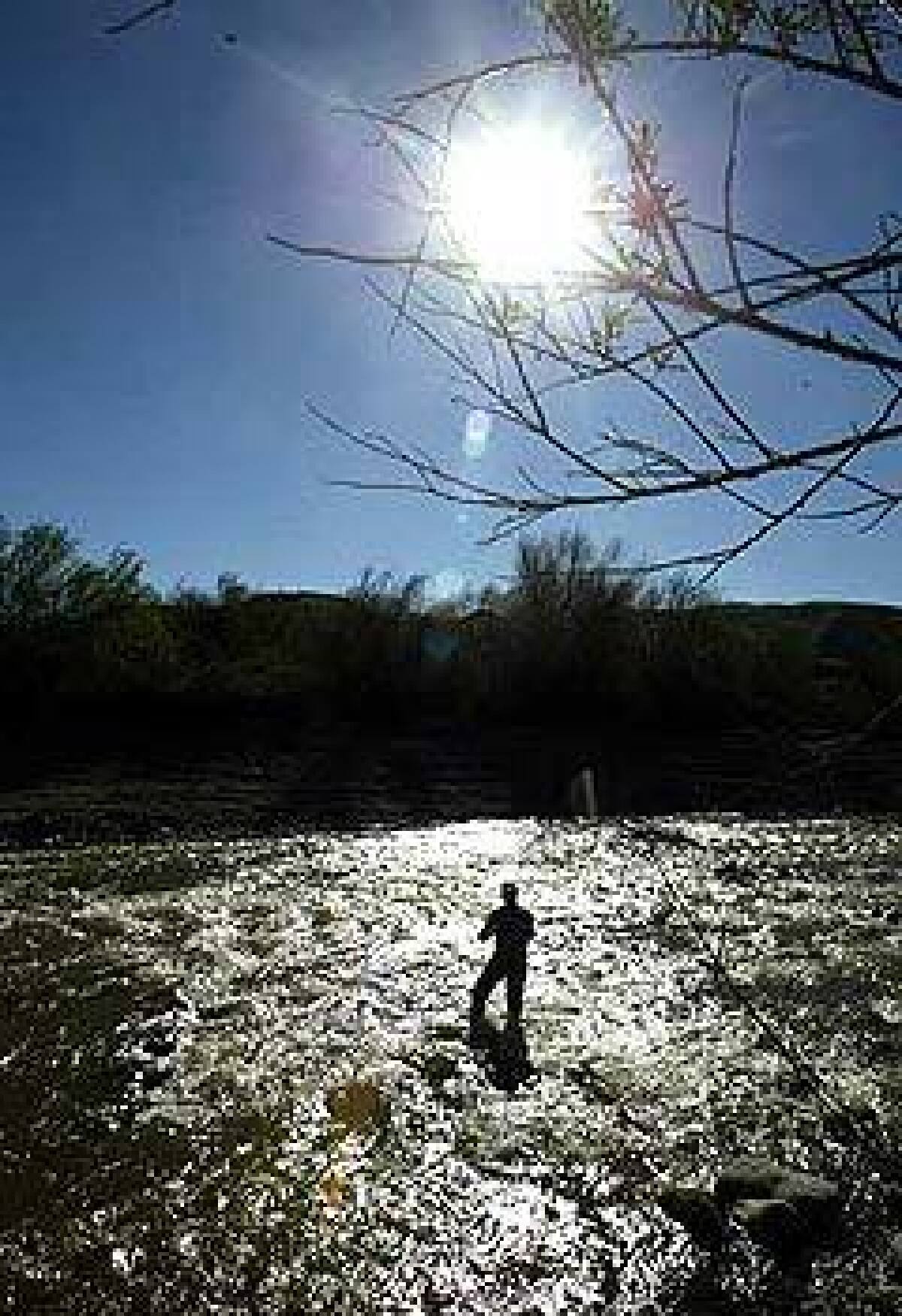 Rex Pray fishes in Piru Creek, which may be destroyed by a change in state water policy.