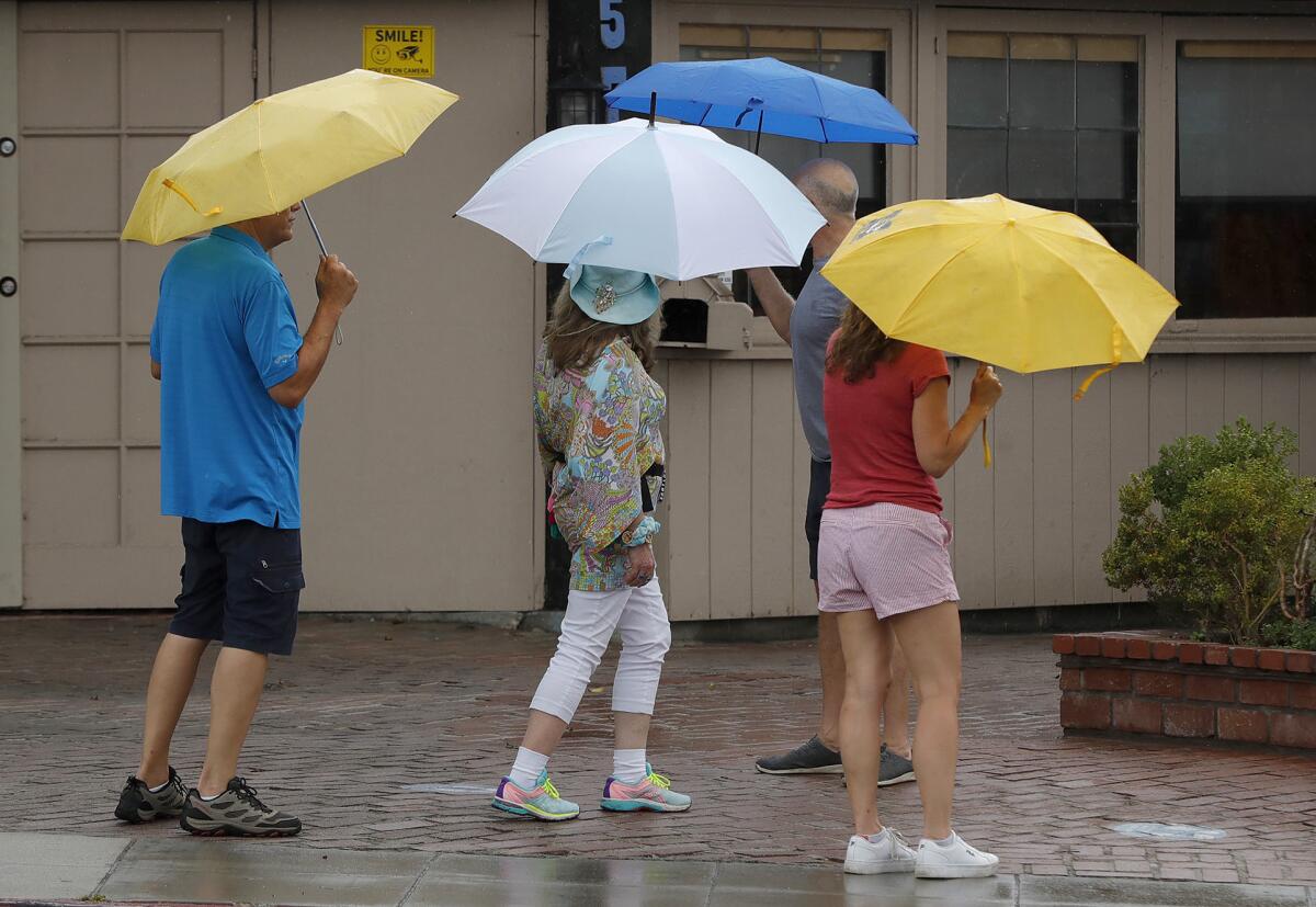 A group of rain-ready visitors walk along with umbrellas in downtown Laguna Beach on Friday.