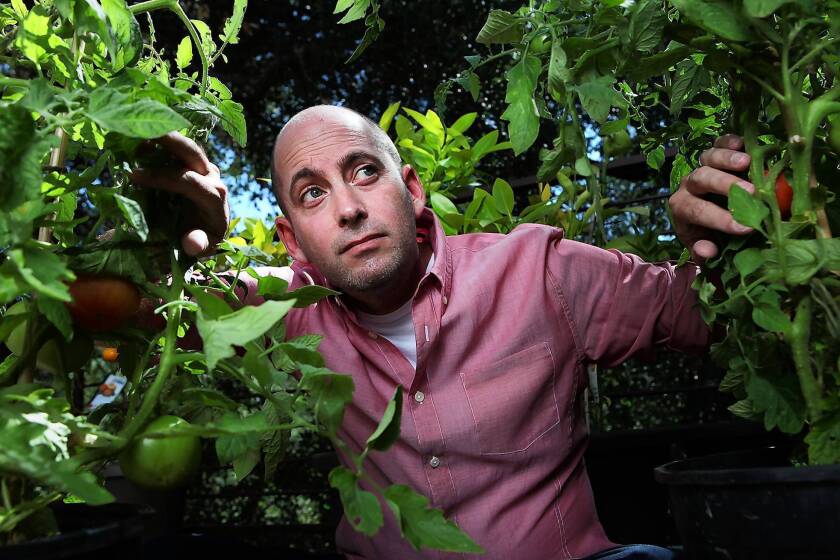 "Turbo" director David Soren among his backyard tomato plants in Sherman Oaks.