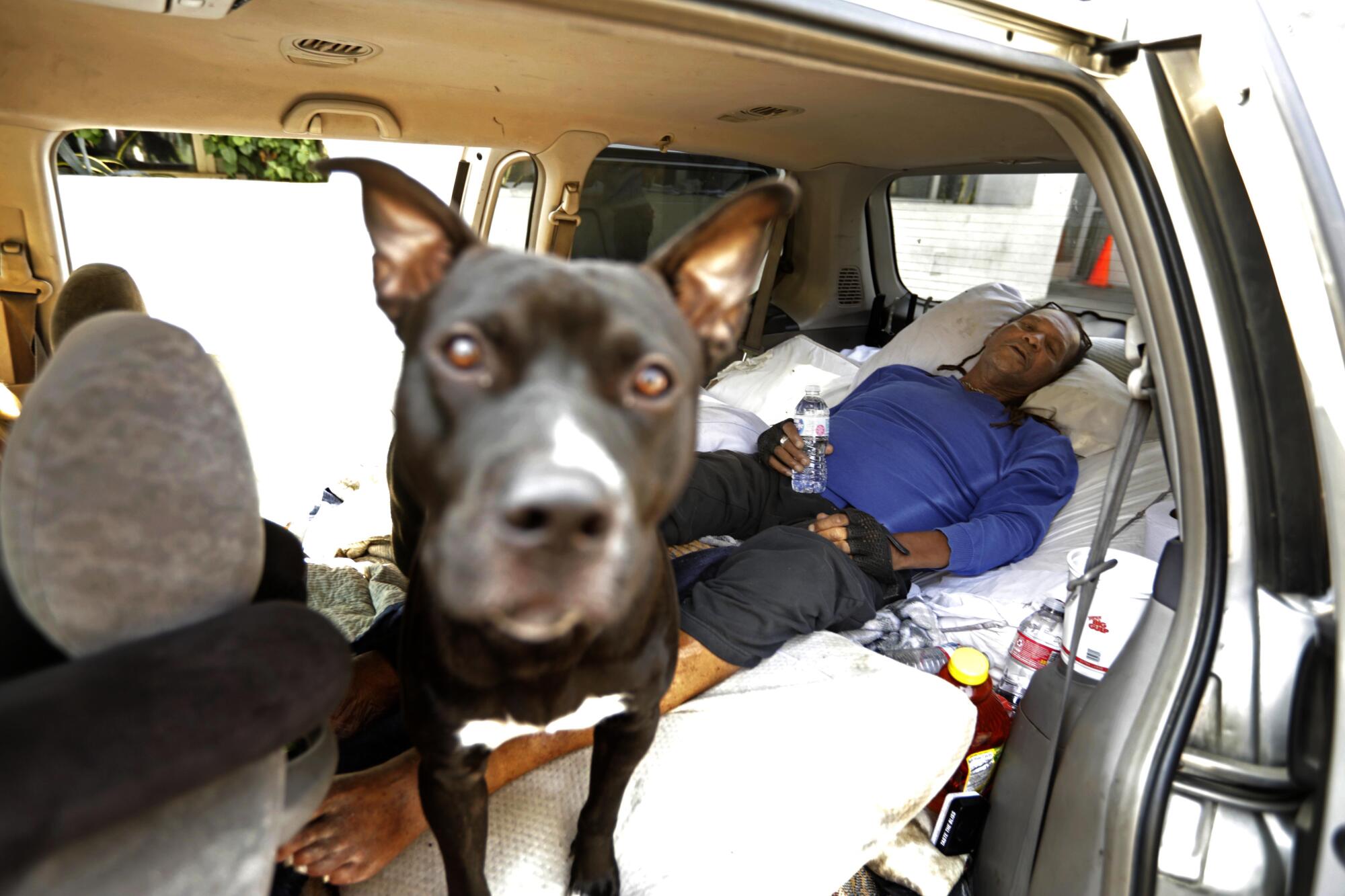 U.S. Marine veteran Kevin Murray  in his car next to his dog Buddy in Skid Row as temperatures reach 93 degrees.
