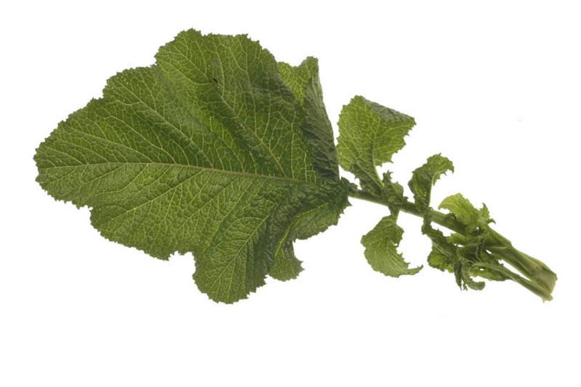 Wonderfully peppery, mustard greens have strong flavor but a delicate texture.
