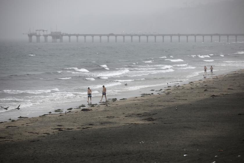 People walk along the coast at La Jolla Shores as Tropical Storm Hilary arrived on Sunday, August 20, 2023 in San Diego, CA. (K.C. Alfred / The San Diego Union-Tribune)