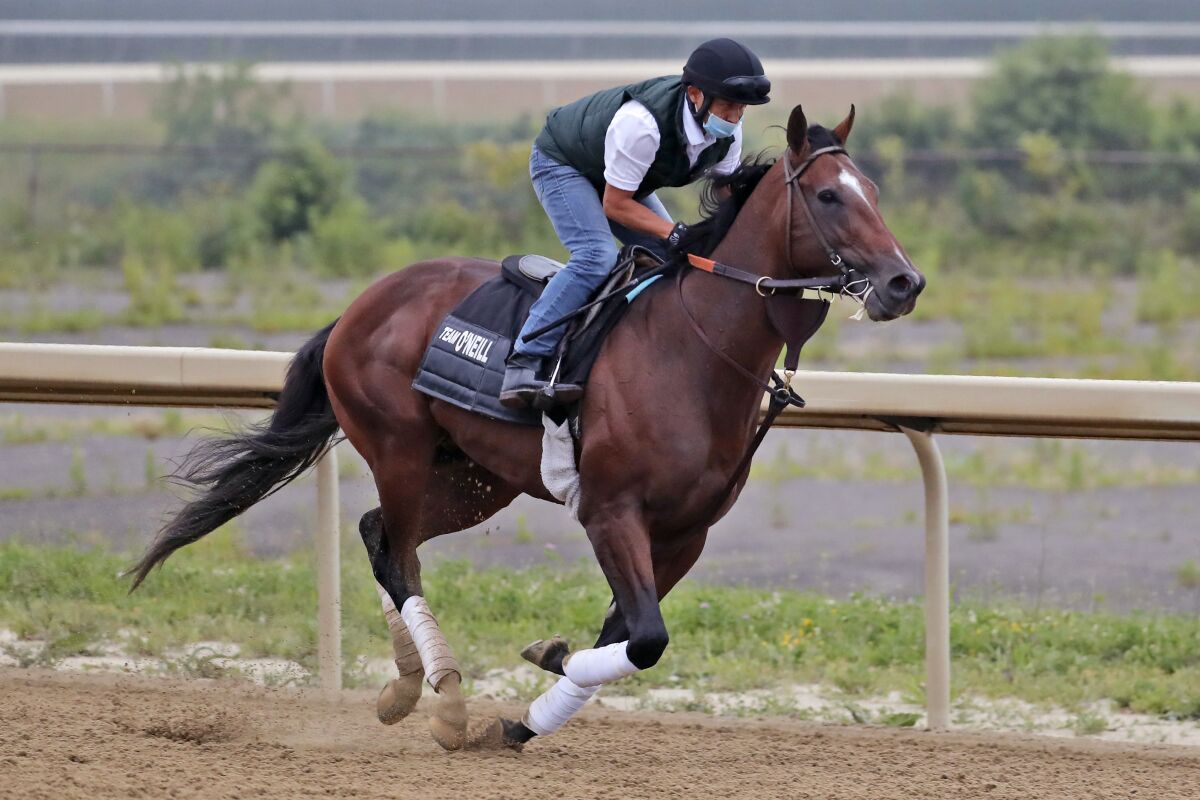 Belmont Stakes hopeful Fore Left works out on a track at Belmont Park in Elmont, N.Y., on Thursday.