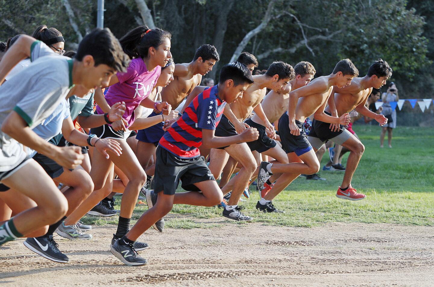 The start of the 5k race at a cross country meet at Crescenta Valley Regional Park in La Crescenta on Wednesday, August 8, 2018. The participants were primarily high school students but members of the community also ran.