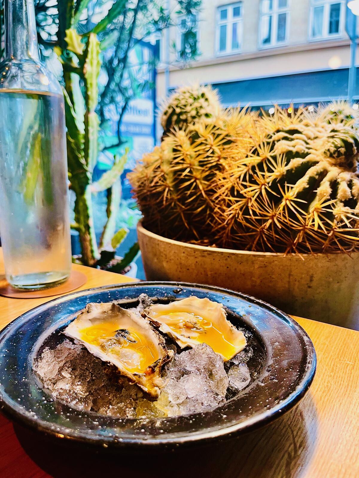 Oysters with habanero and sea buckthorn sauce plus extra virgin olive oil at Sanchez in Copenhagen.