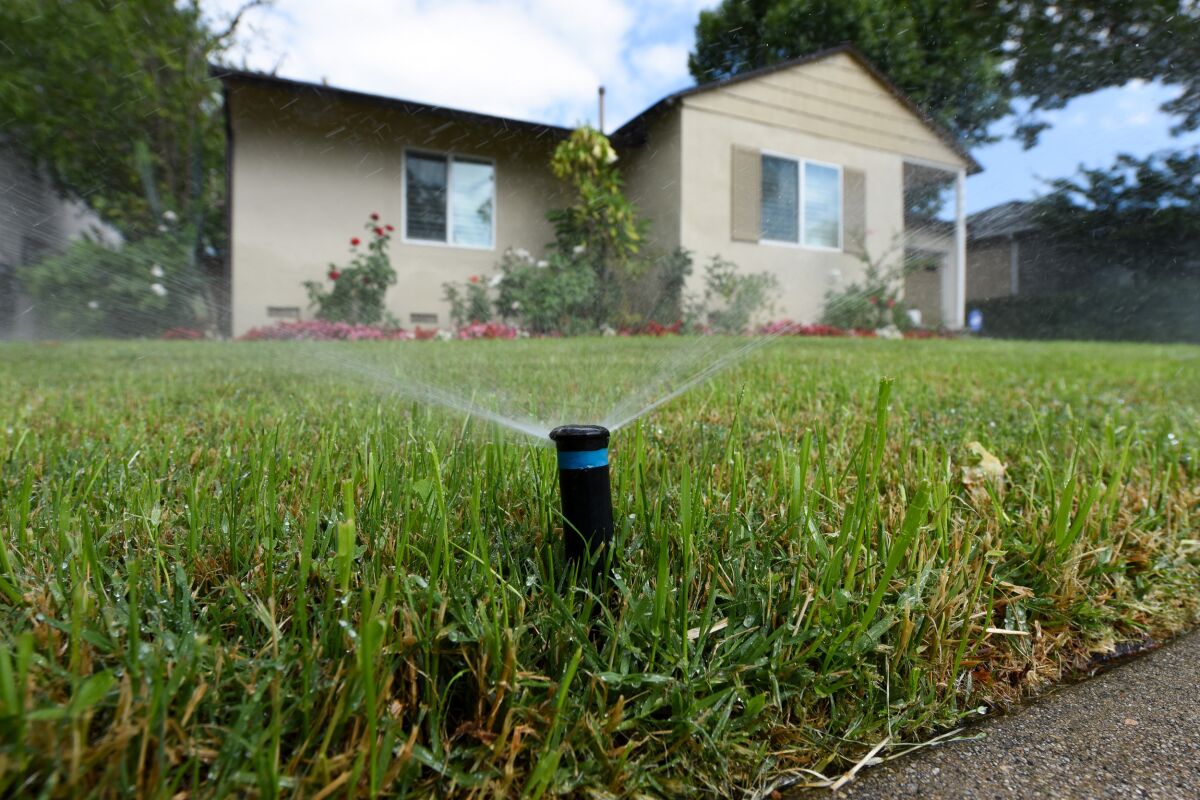 Sprinklers water a grassy lawn.
