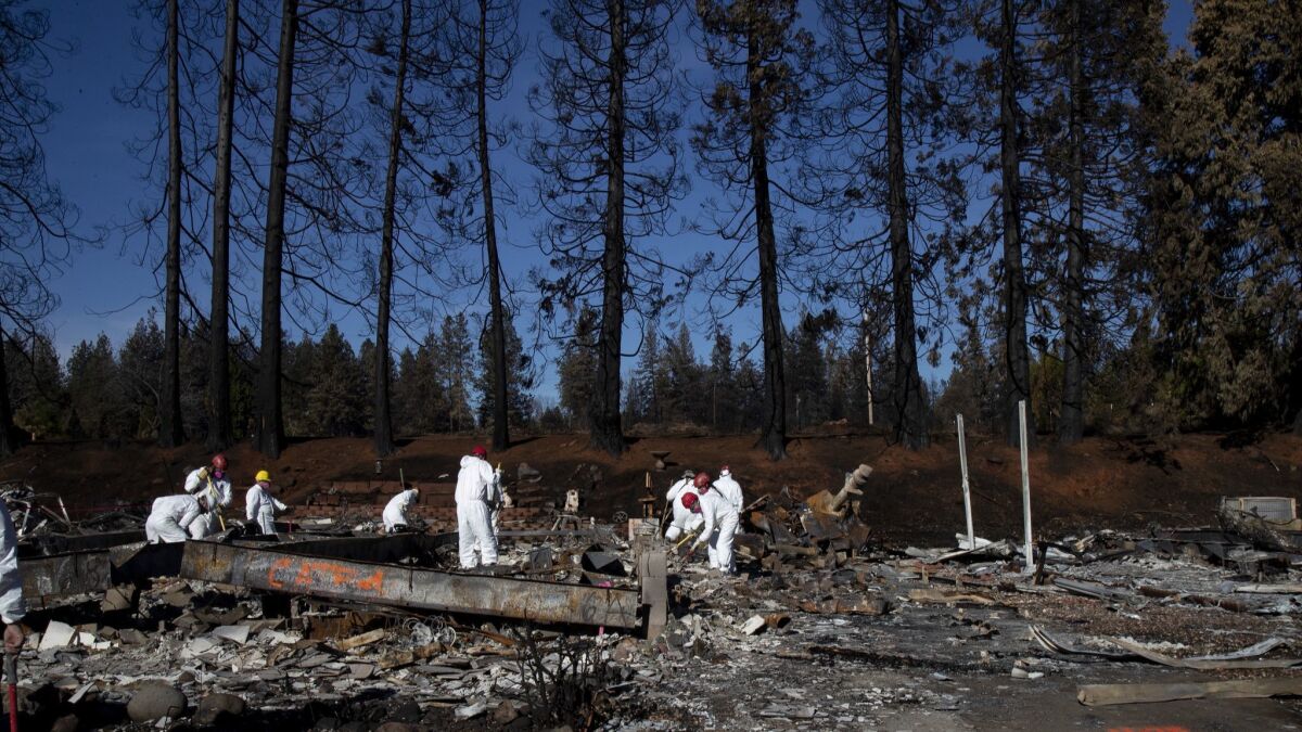 Amid a backdrop of charred pine trees, search and rescue teams from Butte County sift through the burned Ridgewood mobile home park in Paradise, Calif., on Nov. 25/