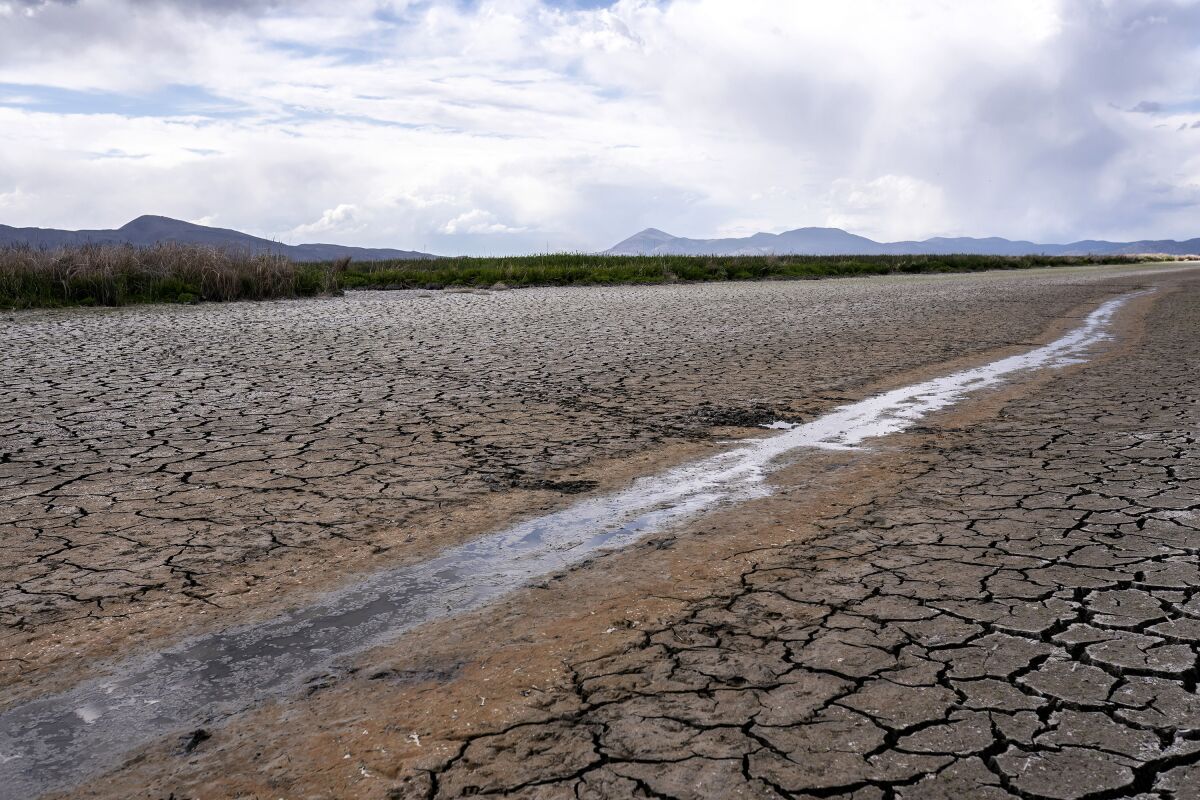 Sequía en California obliga a reducir el consumo de agua Los Angeles