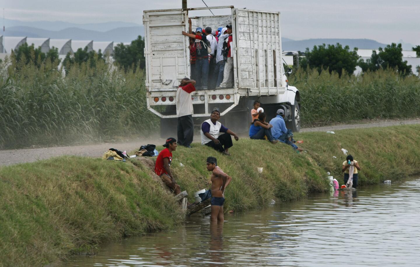 Migrant farmworkers ride home from the fields past people bathing in an irrigation canal that provides water to the tomato-growing shade houses at the left.