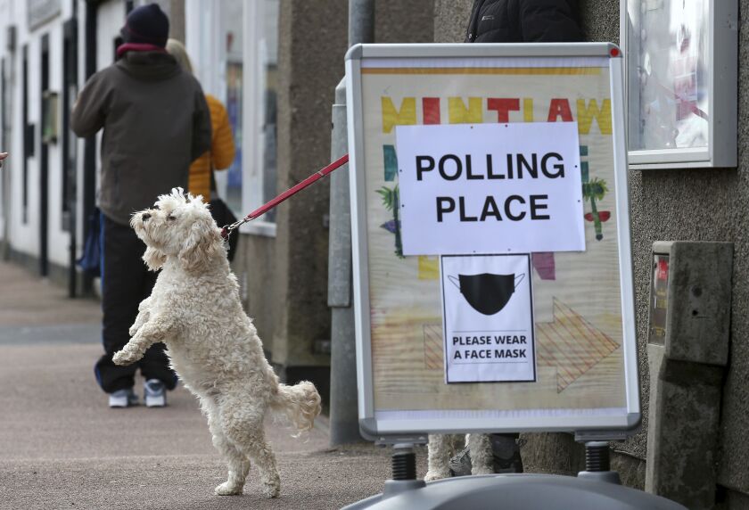 A dog tied up outside a polling station in Mintlaw, Scotland, Thursday May 6, 2021. Scots are heading to the polls to elect the next Scottish Government - though the coronavirus pandemic means it could be more than 48 hours before all the results are counted. (Andrew Milligan/PA via AP)