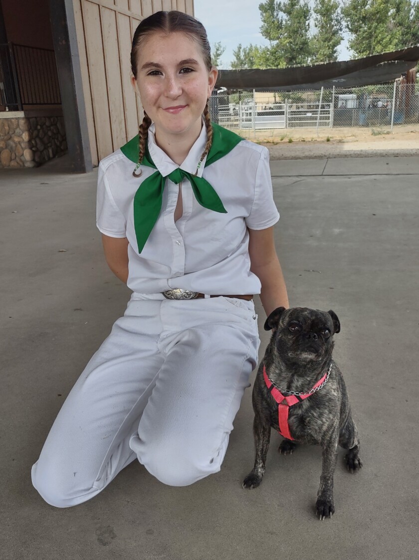 Kassidy Jordan, 14, showed a pug-Boston terrier mix named Mia at the Ramona Junior Fair.