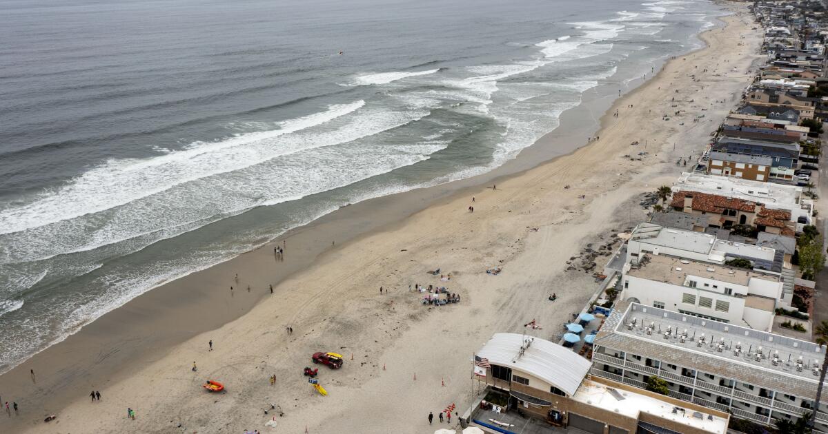 Rescuer from Del Mar reports how he pulled swimmer out after shark bite