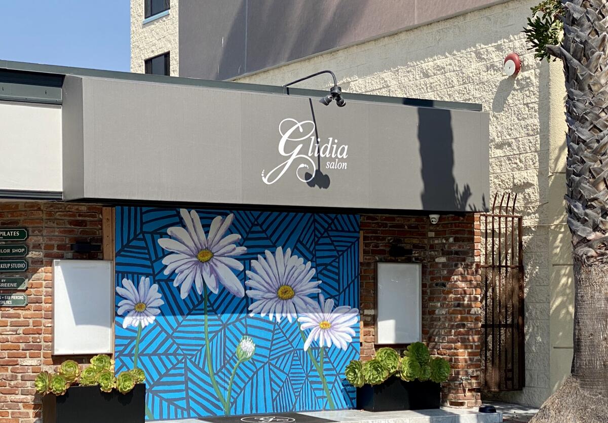 Plywood used to board up windows at Glidia Salon at 7760 Fay Ave. in La Jolla was covered by a mural.