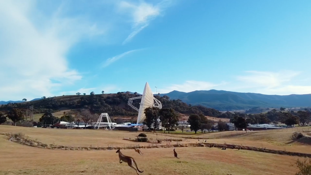 Kangaroos hop along a landscape with a large satellite antenna in the background.