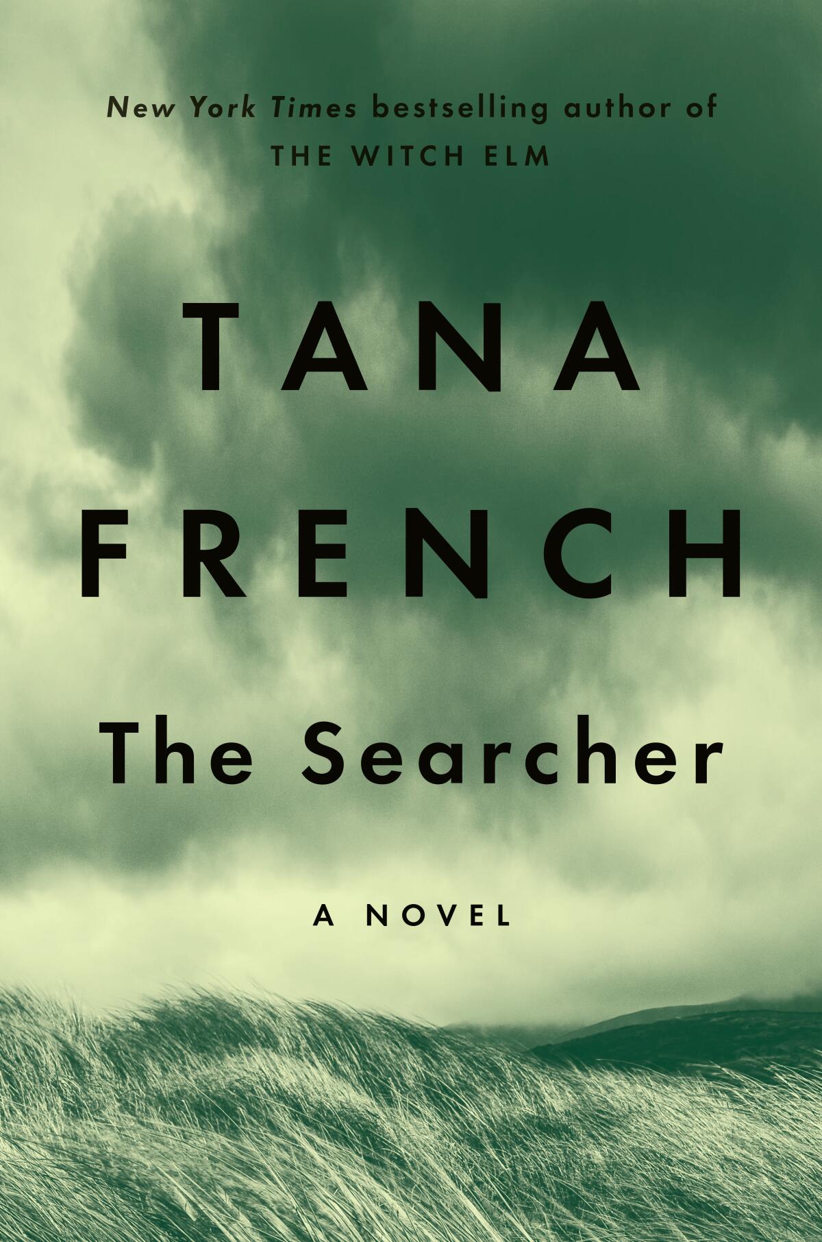 A cover for "The Searcher" by Tana French