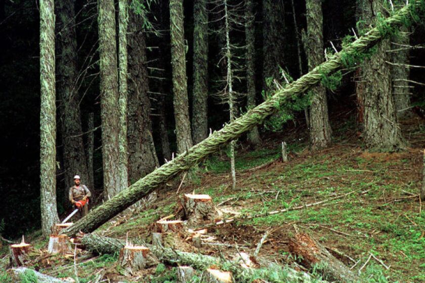 No. 1: Loggers and lumberjacks Fatality rate: 127.8 out of 100,000 workers Total 2012 fatalities: 62 Risks: Dangerous tools such as chainsaws, falling logs and rough terrain and weather