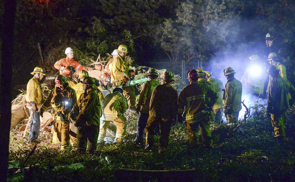 Los Angeles County firefighters work on a large eucalyptus tree that fell on a wedding party in 2016 in Whittier.
