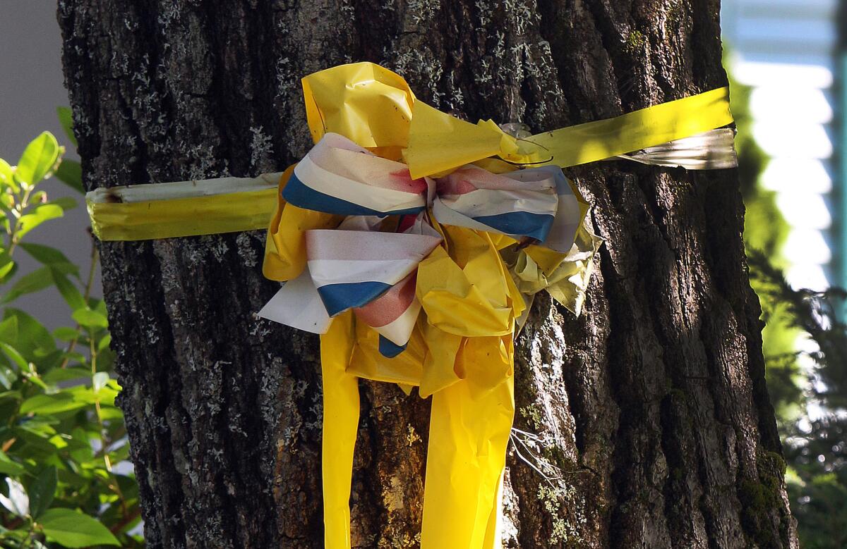 A yellow ribbon is tied to a tree outside the family home of slain journalist James Foley, in Rochester, N.H.