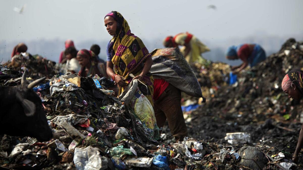 Rag pickers scavenge for food and recyclable materials inside Delhi's 70-acre, 100-foot high Ghazipur landfill in 2012.