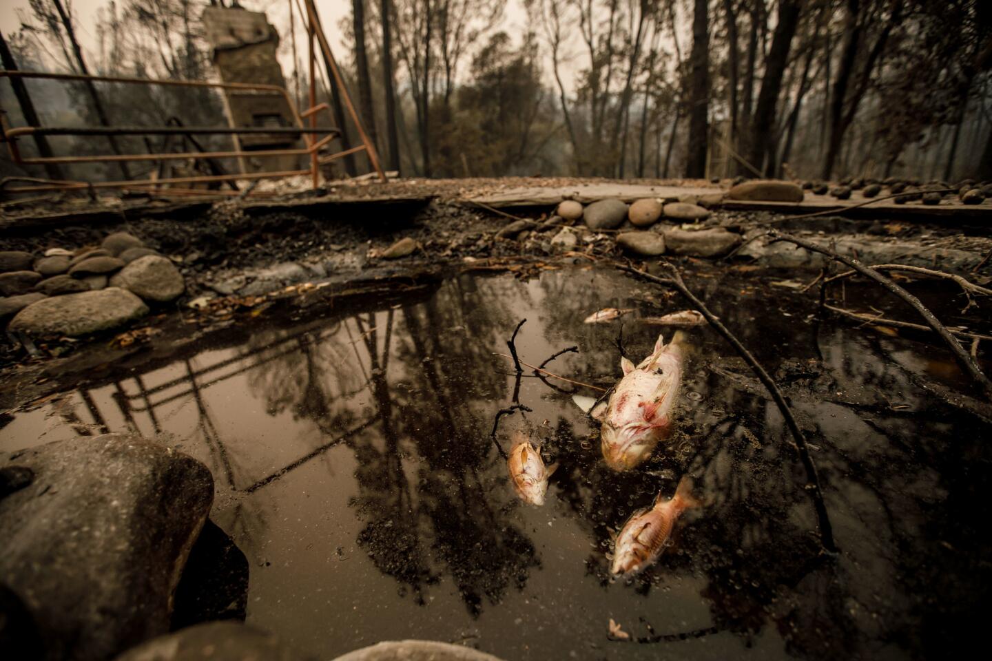 Carr fire