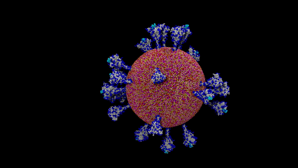 A simulated view of the coronavirus SARS-CoV-2, which causes COVID-19, shows the virus' surface spike proteins.