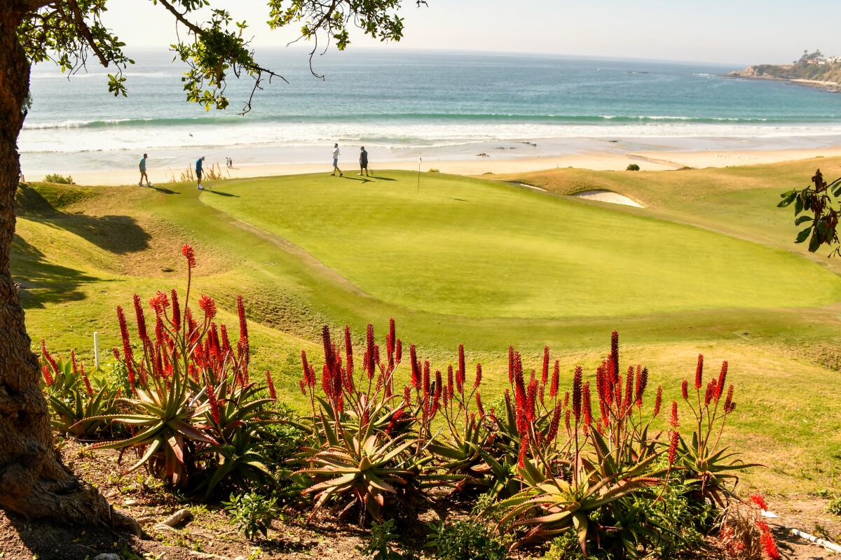 A golf course sits right off the ocean.