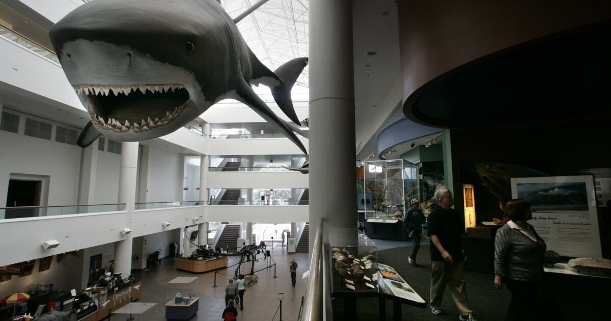 Natural History Museum forced to layoff staff The San Diego UnionTribune