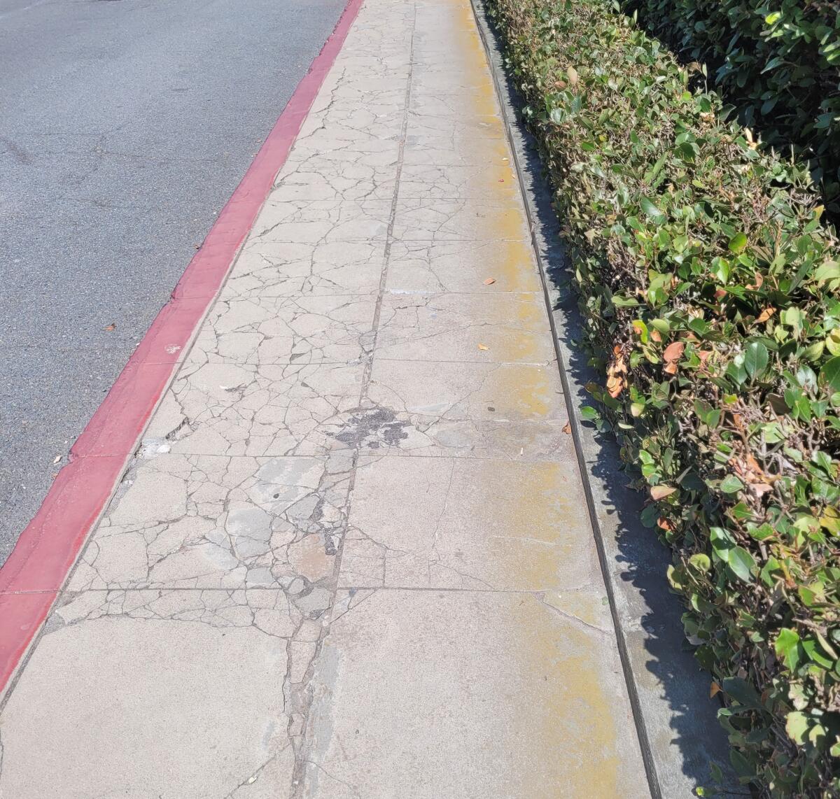 Cracked sidewalk at the corner of Sea Lane and Monte Vista Avenue in La Jolla