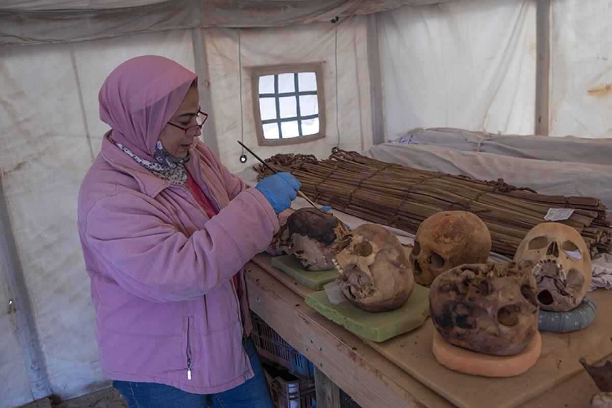 An archaeologist brushes ancient skulls in Saqqara, Egypt, on Sunday.