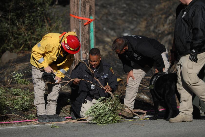 L.A. Fire Department Arson Section conduct an investigation near a utility pole of a possible area of origin of the Getty fire along the 1700 block of N Sepulveda Blvd.