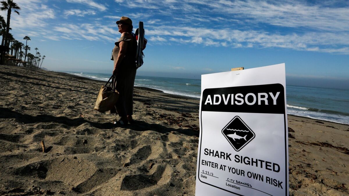 Surfers, swimmers and beachgoers are being warned with signs posted on the sand that sharks have been sighted in the waters off San Clemente.