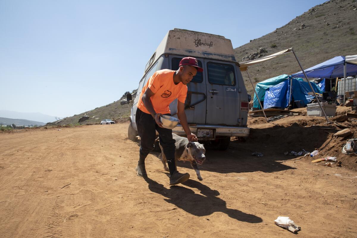 Ángel Muñoz, de 19 años, cuida perros en el Santuario Guillermina 