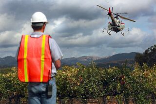 In this Oct. 15, 2014 photo, UC Davis engineer Ryan Billing flies a Yamaha RMax helicopter over the Oakville Station test vineyard to demonstrate the use of the drone applying fertilizers and pesticides to vineyards t the University of California, Davis' Oakville Station test vineyard in Oakville, Calif. (AP Photo/The Press Democrat, John Burgess)