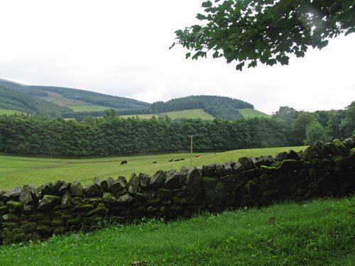 A walk in Scotland's Tweed River Valley