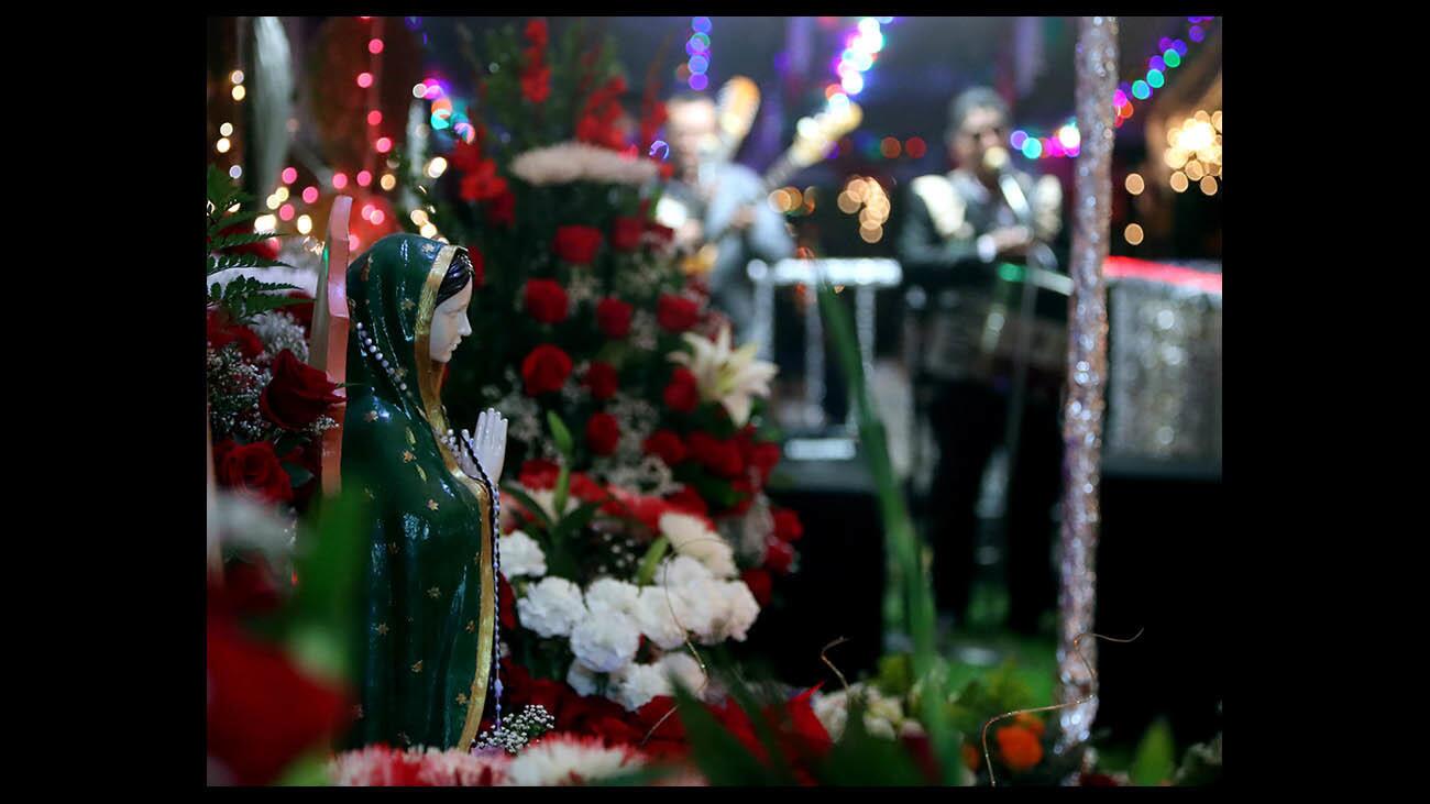 Photo Gallery: Our Lady Guadalupe celebration