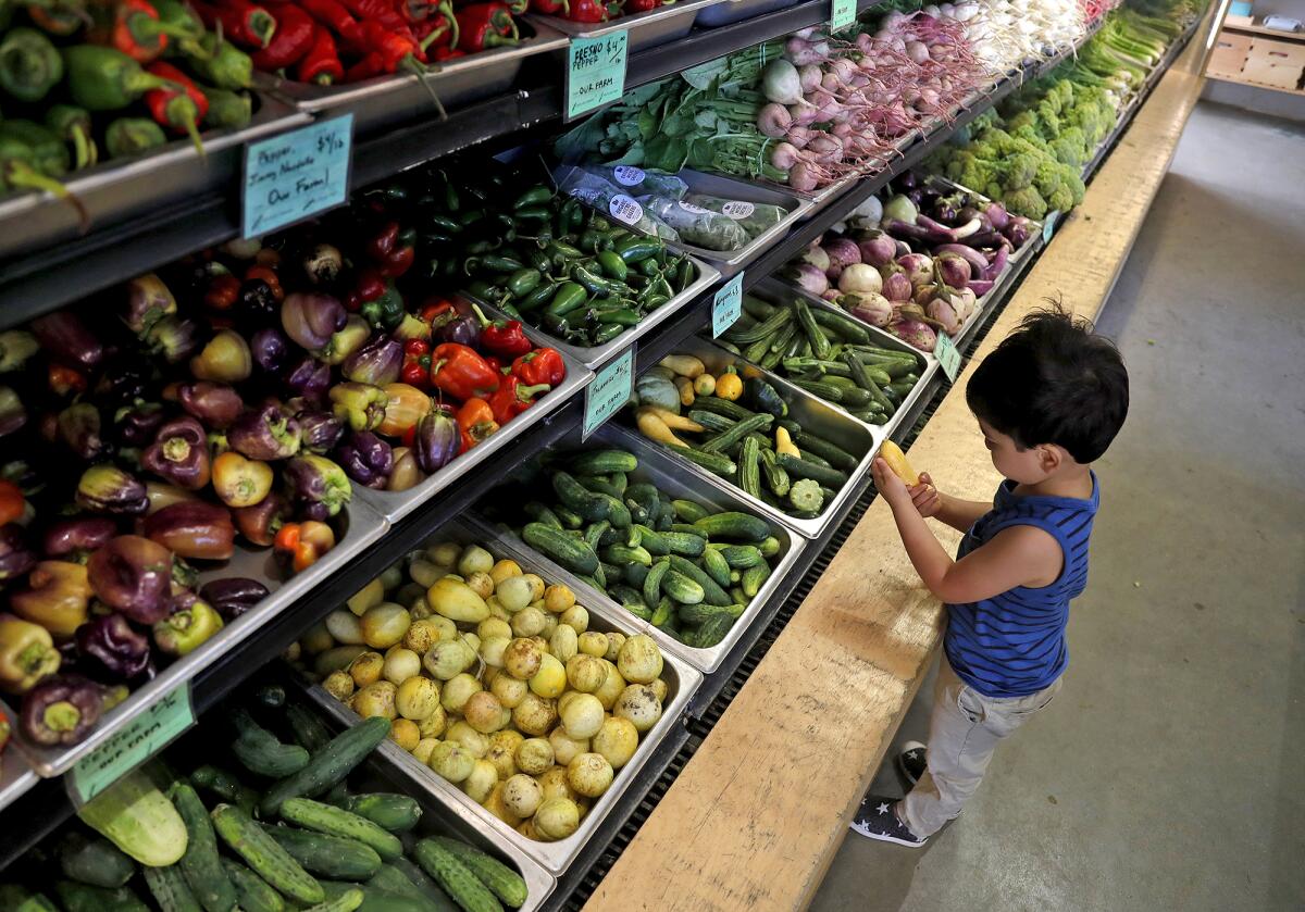 A youngster shops with his mom at the Farm Stand at the Ecology Center in San Juan Capistrano.