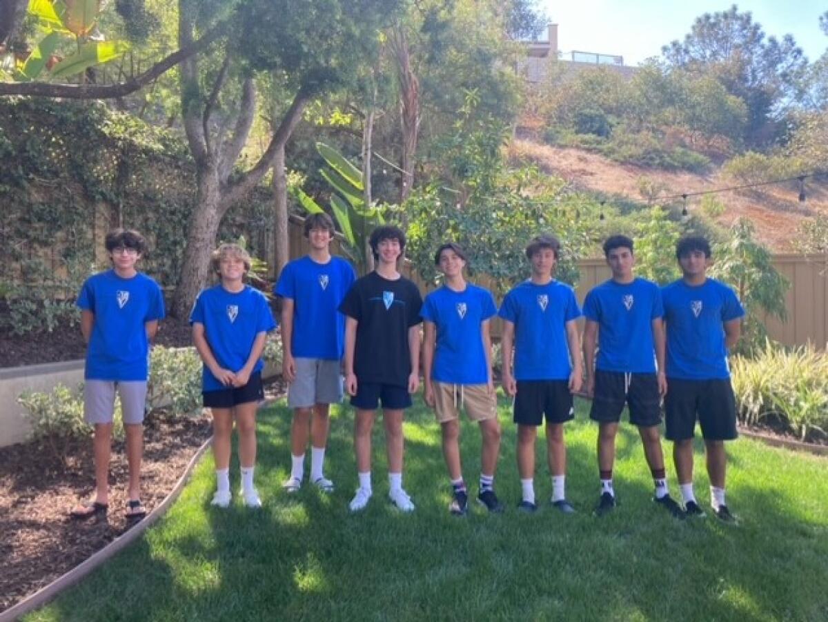 TVIA SD2 members