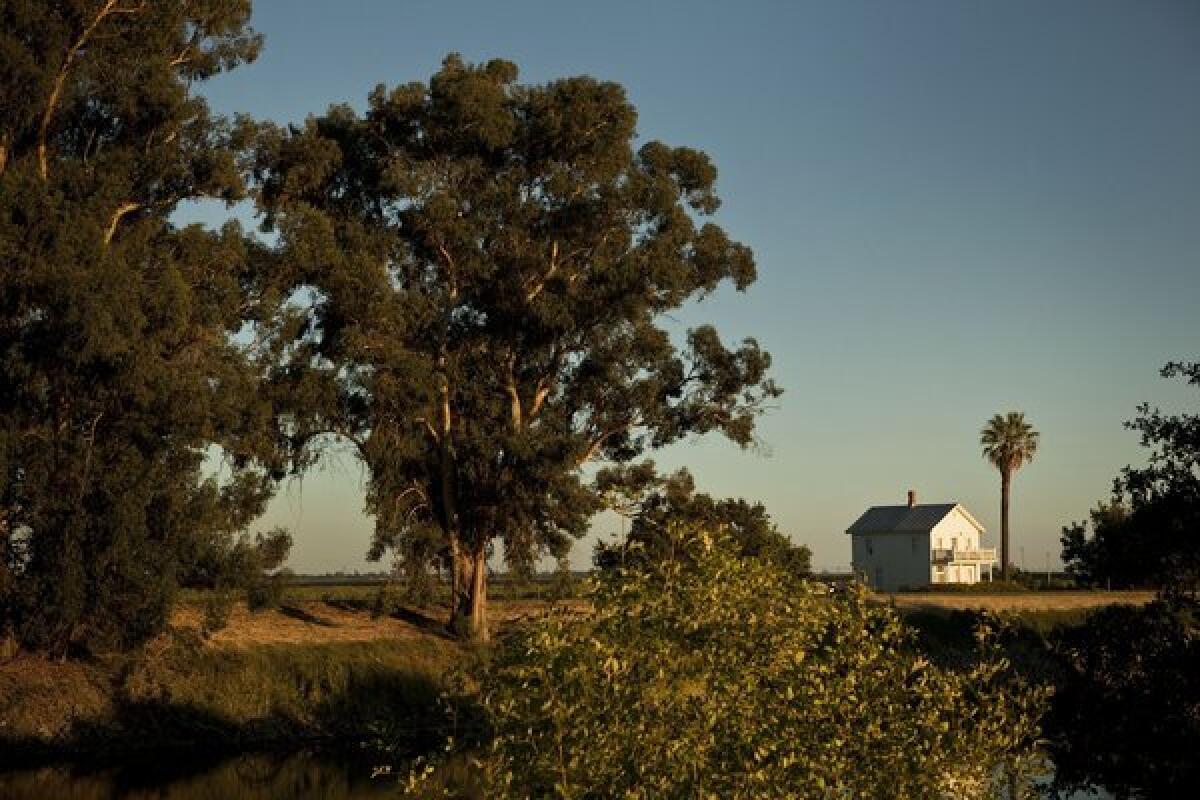 A farmhouse built in the 1800s near Sutter Island in the Sacramento-San Joaquin Delta. The release date for 25,000 pages of draft environmental documents on the proposed delta tunnel projet has been pushed back by six weeks.