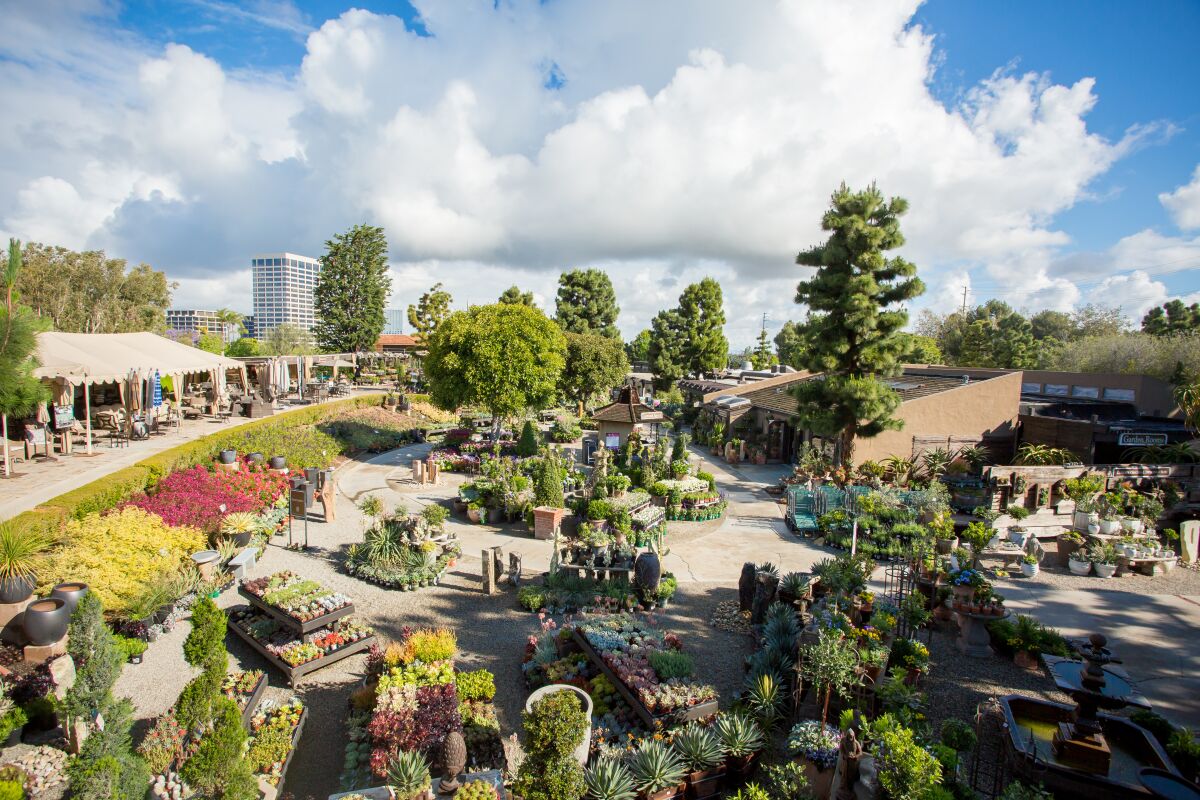A wide-angle aerial view of the sprawling Roger's Gardens nursery in Corona del Mar