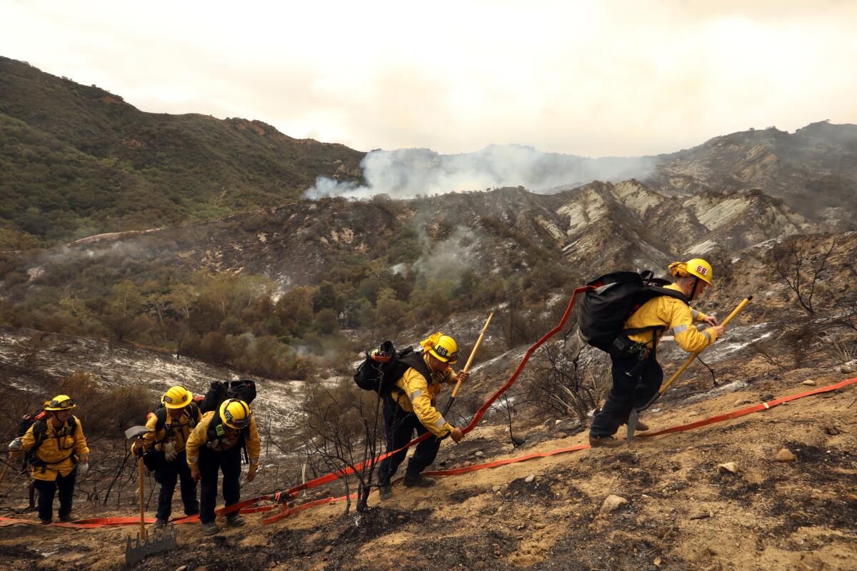 Firefighters