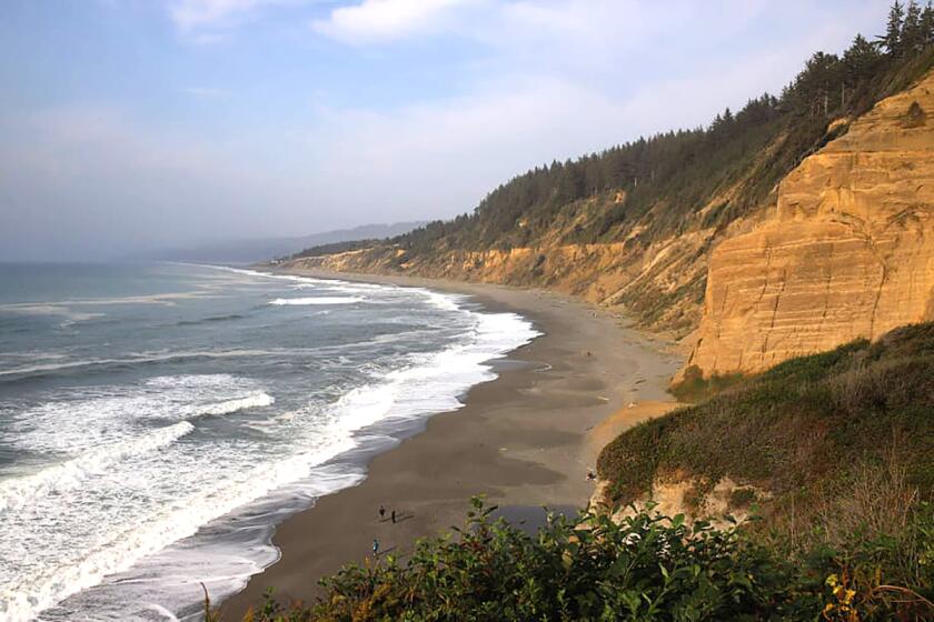 The coast of the California state park formerly known as Patrick's point, located in Humboldt County on the North Coast. 