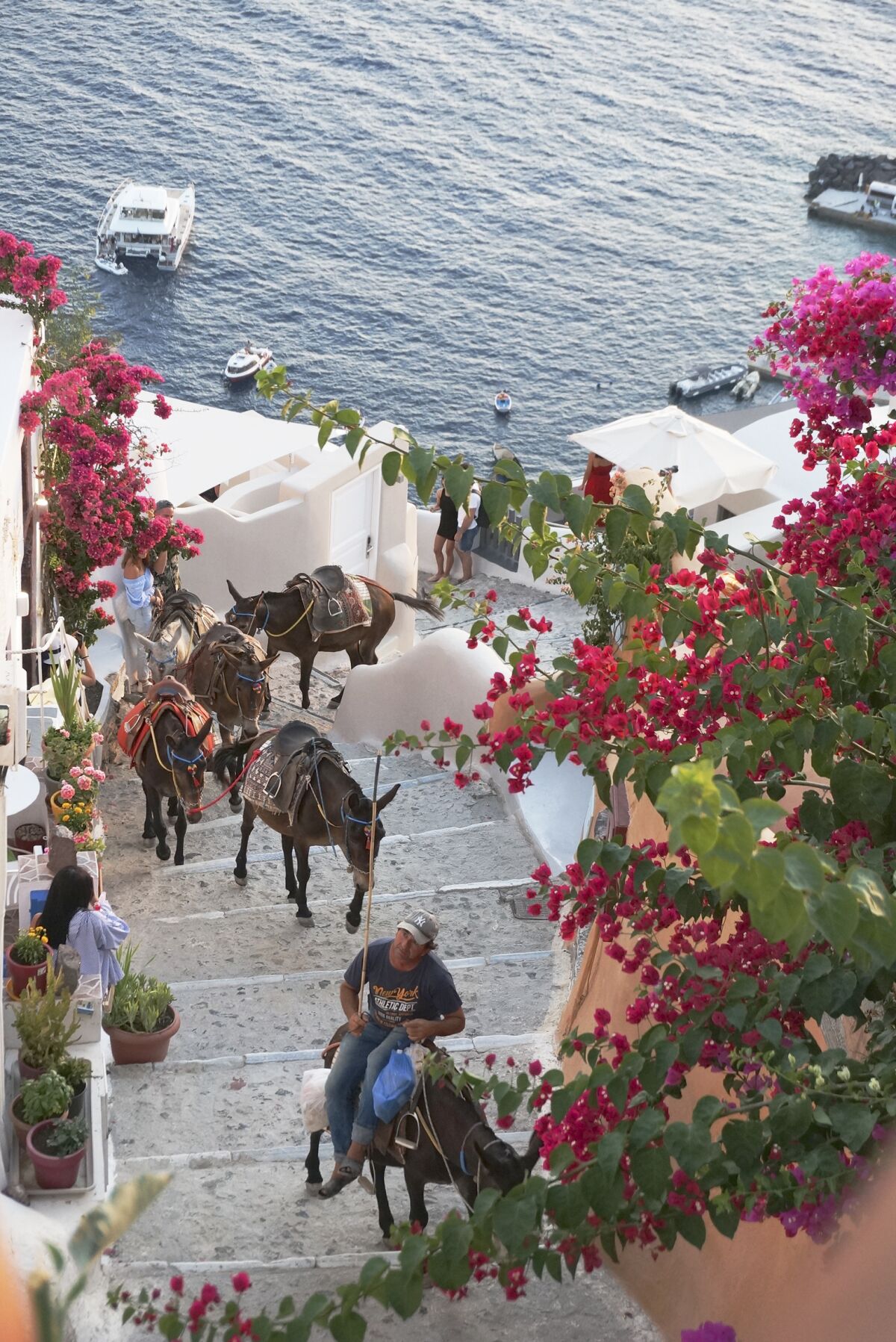 A man leads a pack of donkeys at dusk from the port up to the village of Oia on Santorini island, Greece.