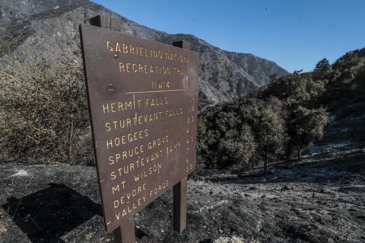 A fire-damaged sign stands above the Gabrielino National Recreation Trail at Chantry Flat. 