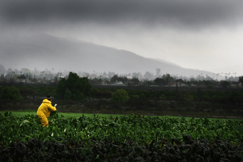 Storm moves in -- Santa Paula